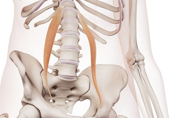 spinal osteochondrosis in the lumbar region The essence of the disease